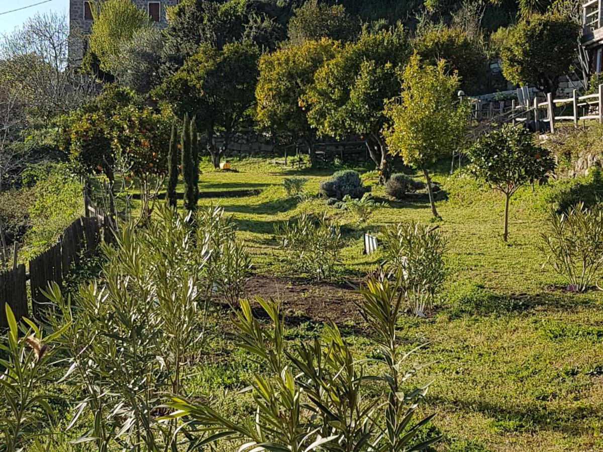 La Guidi