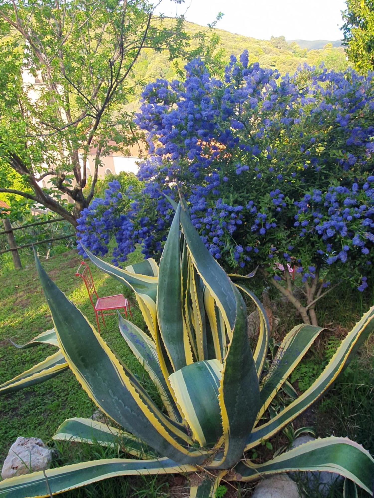 Bed & Breakfast La Guidi