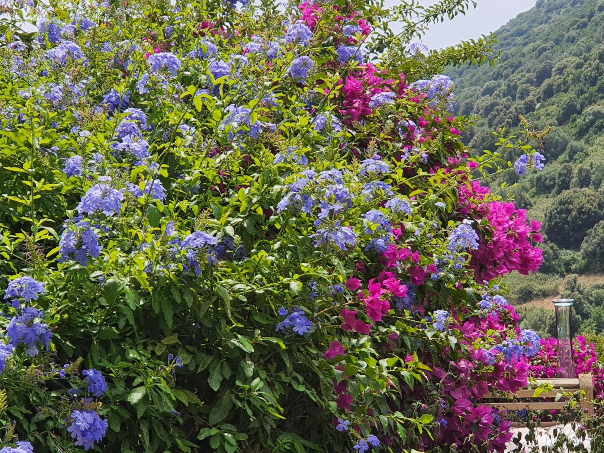 Bed & Breakfast La Guidi Pila-Canale